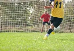 港媒披露袁,伟豪张宝儿,今日登记成,OD体育官网,OD,Sports,足球直播,篮球赛事,体育高清,NBA直播