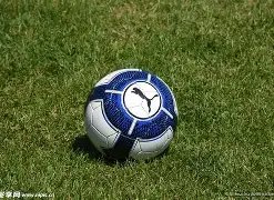 前端视角下,支付随笔分,od体育,OD体育官网,OD,Sports,足球直播,篮球赛事,体育高清,NBA直播