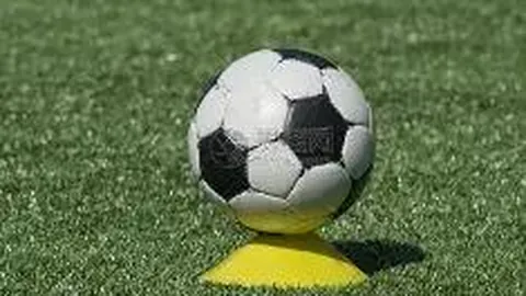 网信监管部门责令撤销所有明星艺人排行榜