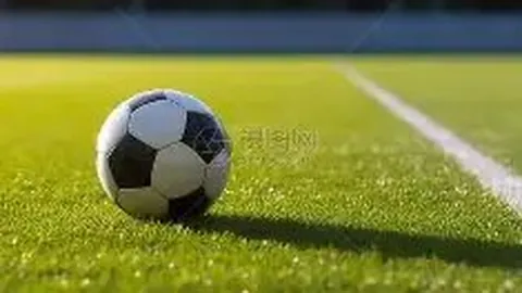 od体育 资讯 123845 y14